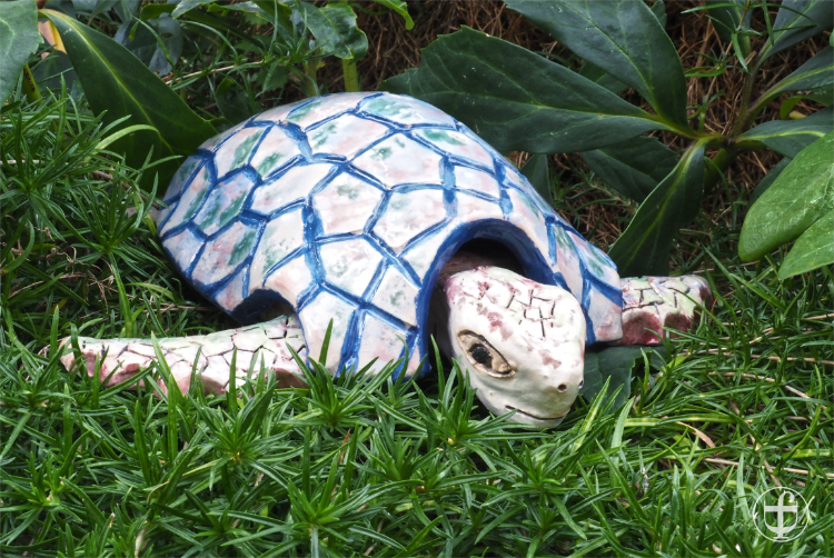 Wasserschildkröte im Gras. Fotografie von Daniela Joss