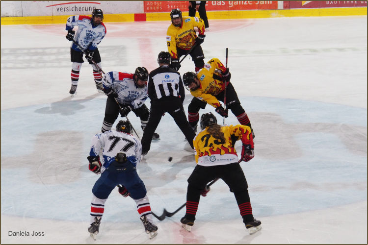 SC Aaremutze Bern - Photographin Daniela Joss