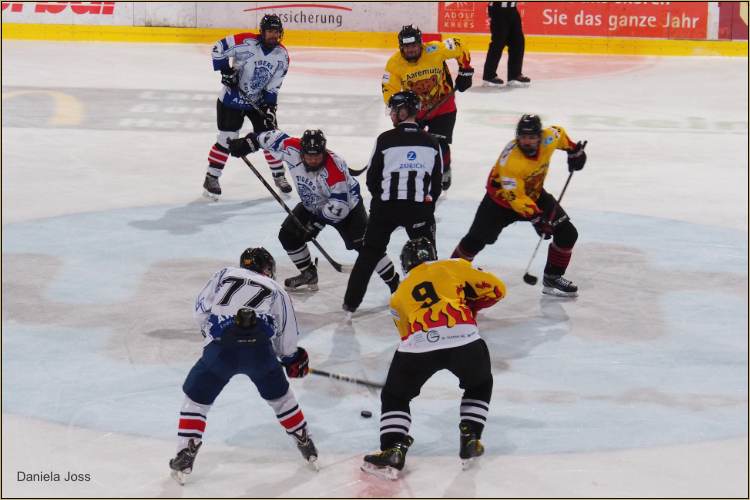 SC Aaremutze Bern - Photographin Daniela Joss