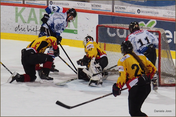 SC Aaremutze Bern - Photographin Daniela Joss