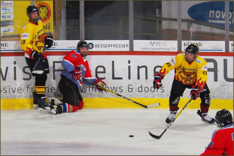 SC Aaremutze Bern - Photographin Daniela Joss