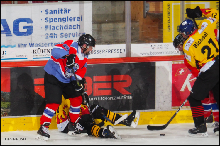 SC Aaremutze Bern - Photographin Daniela Joss