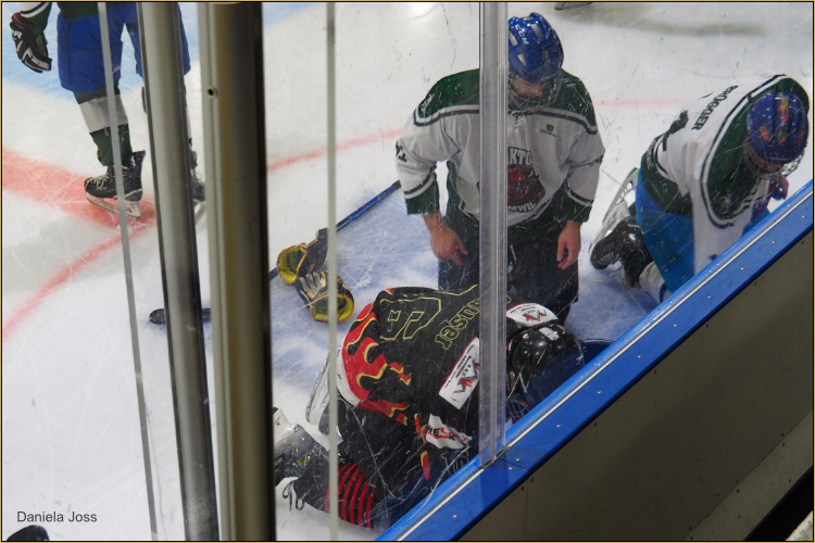 SC Aaremutze - Fanseite - Daniela Joss