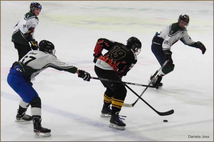 SC Aaremutze - Fanseite - Daniela Joss