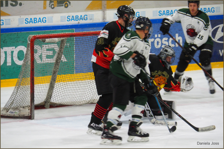 SC Aaremutze - Fanseite - Daniela Joss