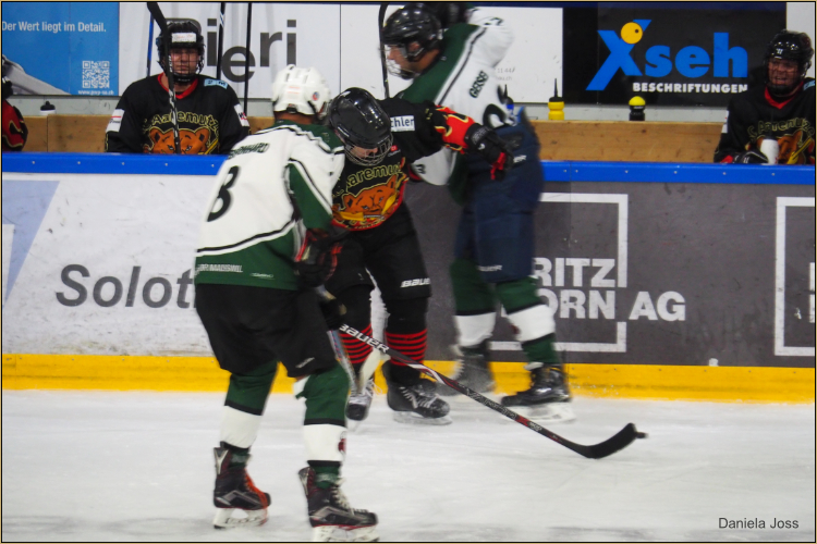 SC Aaremutze - Fanseite - Daniela Joss