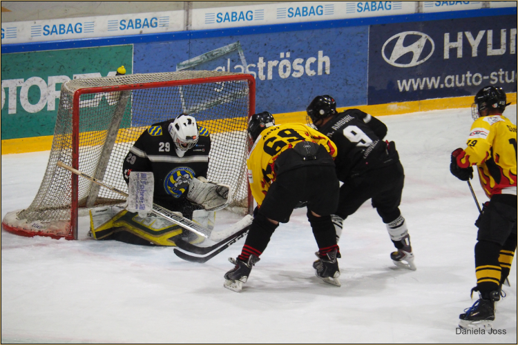 SC Aaremutze - Fanseite - Daniela Joss