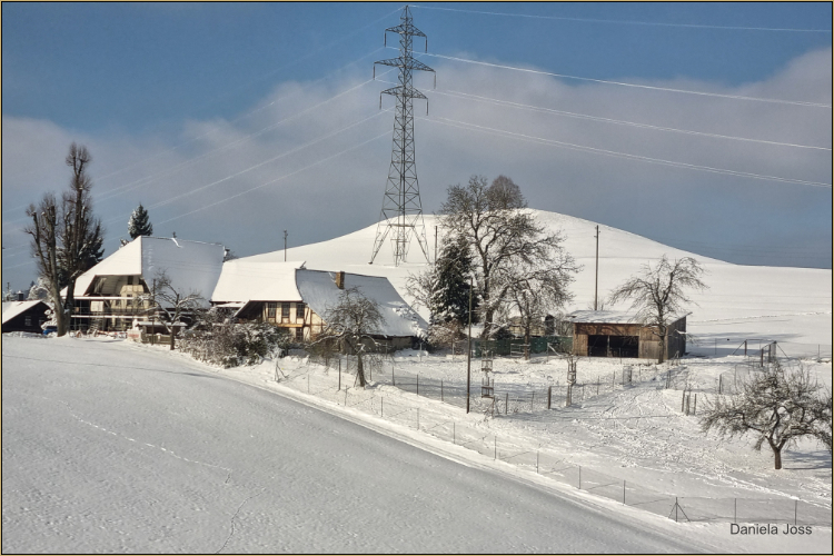 SC Aaremutze Bern - Daniela Joss