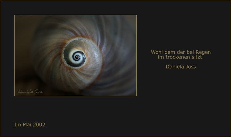 Das Zentrum der Geborgenheit: Spiralförmiges Schneckenhaus.