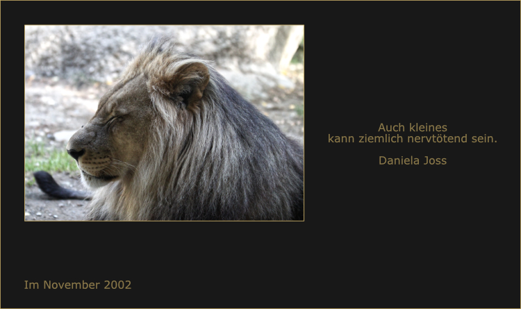 Löwe mit Fliege auf der Nase