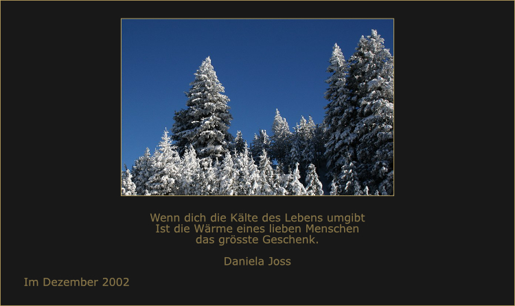 Tief eingeschneite Bäume am Wegesrand.