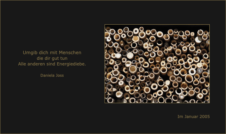 Hohle, übereinander geschichtete Schilfhalme. Nistmaterial für Wildbienen.