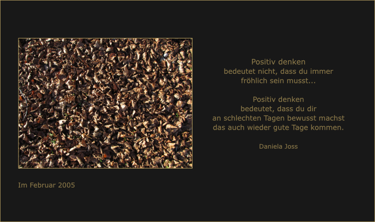 Herbstlaub am Boden im Buchenwald.