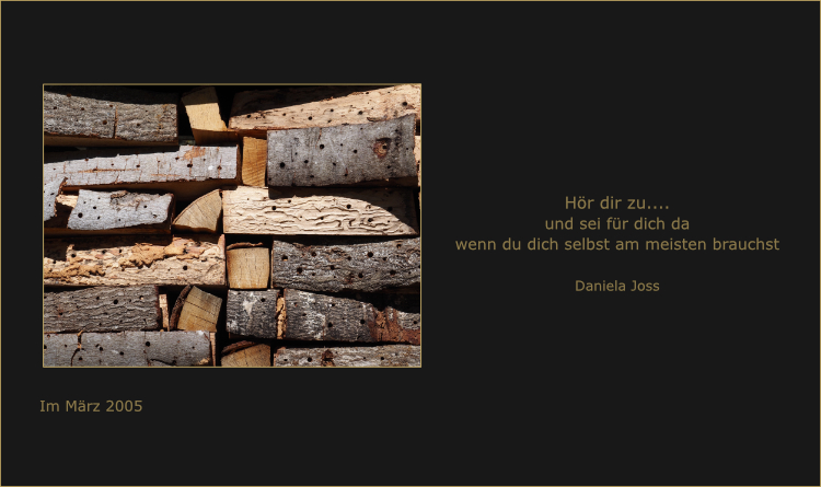 Aufgeschichtete Holzstücke die von Insekten bewohnt werden.
