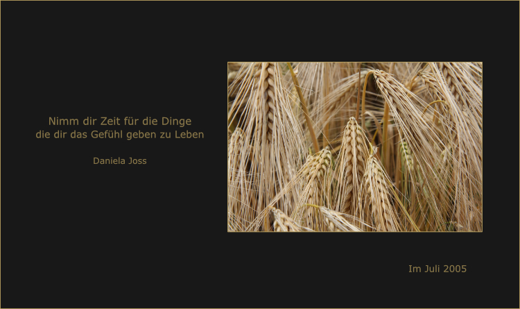 Ausschnitt eines reifen Kornfeldes.