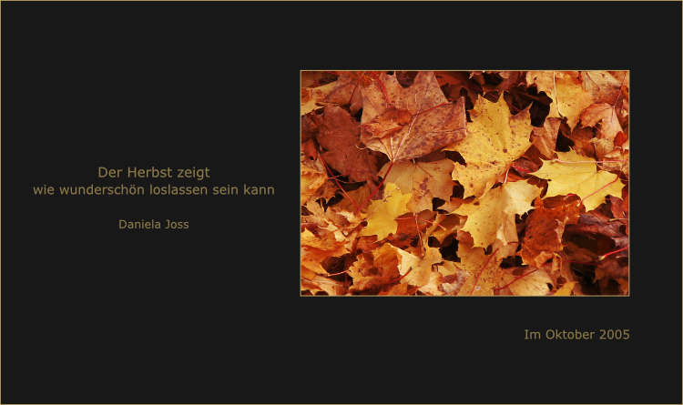Ein Teppich aus herbstlich gefärbten Ahornblättern.