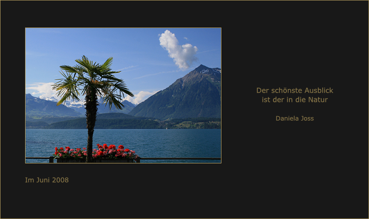 Blick von Iseltwald über den Thunersee zum Niesen.