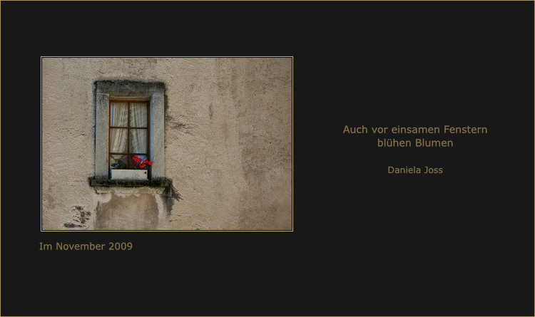 Kleines Fenster mit kleiner Blume auf dem Sims.