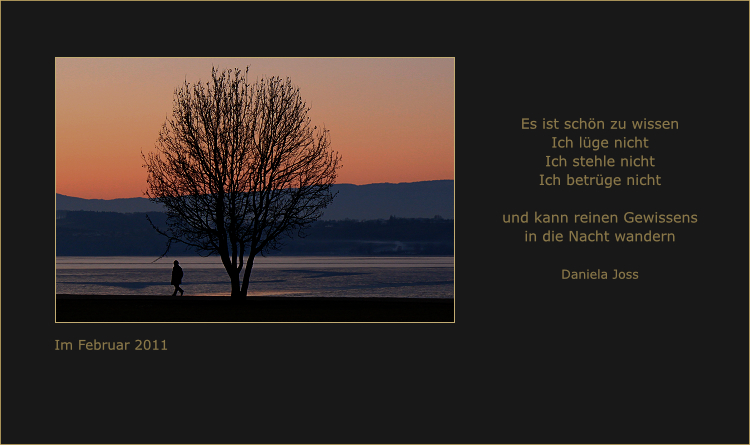 Ein Spaziergänger am Seeufer, bei Einbruch der Nacht.