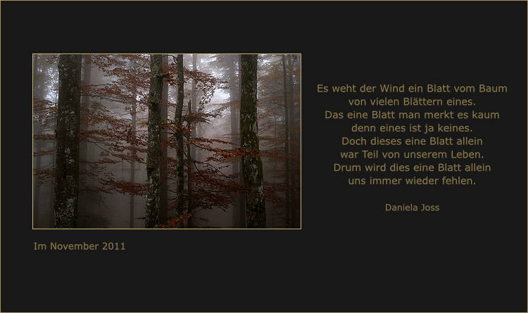 Herbstwald im Nebel.
