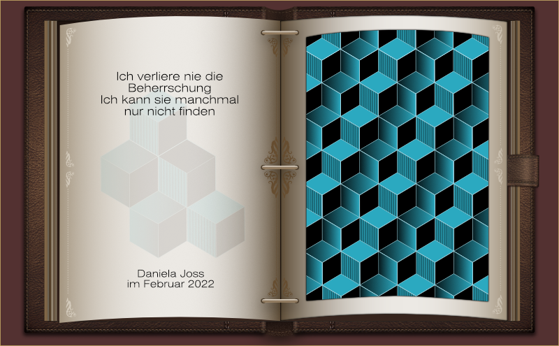 Ein aufgeschlagenes in Leder gebundenes Buch, mit einem Springbild aus Würfeln.