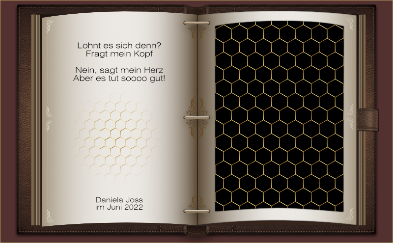 Ein aufgeschlagenes in Leder gebundenes Buch, mit Bienenwabenmuster.