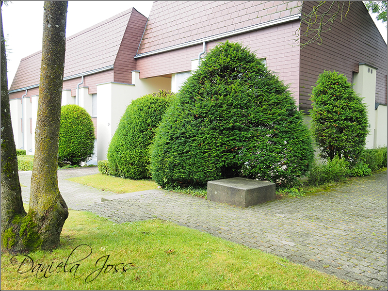 Heizungssanierung Steinriesel M�hleberg