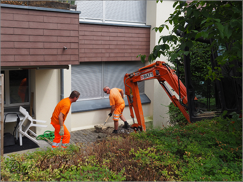 Heizungssanierung Steinriesel M�hleberg