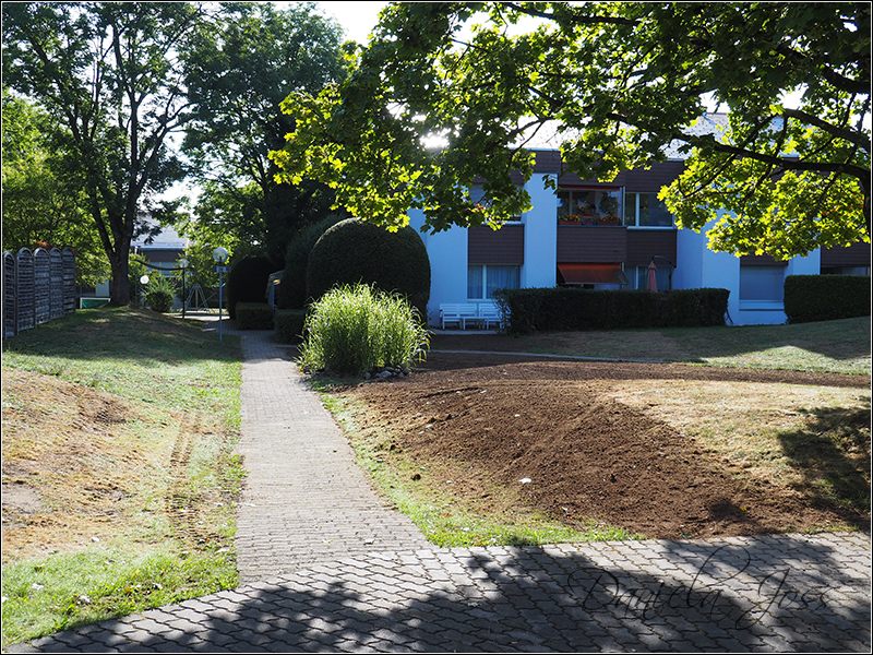 Heizungssanierung Steinriesel M�hleberg