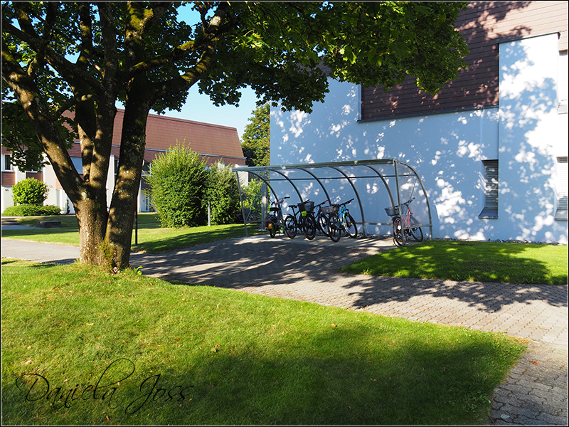 Heizungssanierung Steinriesel M�hleberg