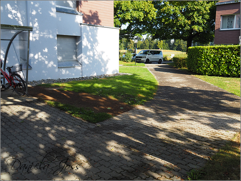 Heizungssanierung Steinriesel M�hleberg