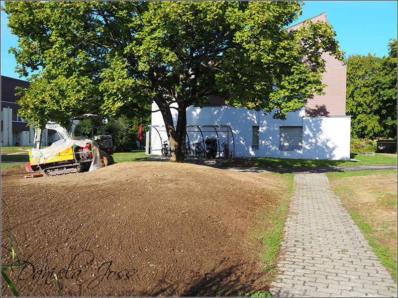 Heizungssanierung Steinriesel M�hleberg