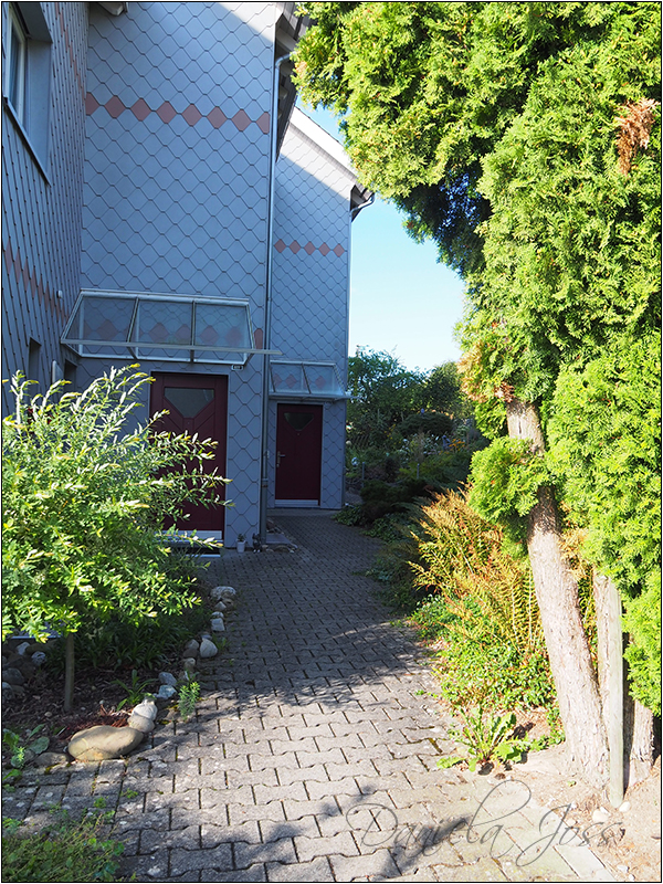 Heizungssanierung Steinriesel M�hleberg
