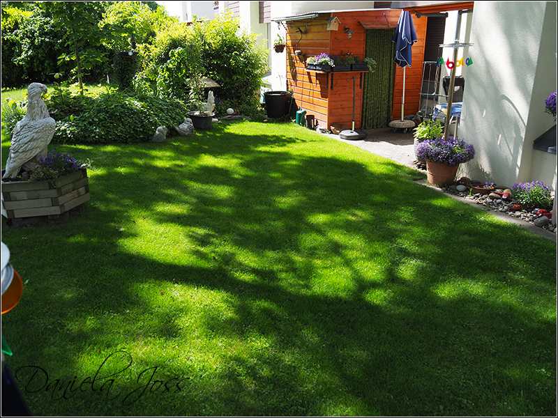 Heizungssanierung Steinriesel M�hleberg