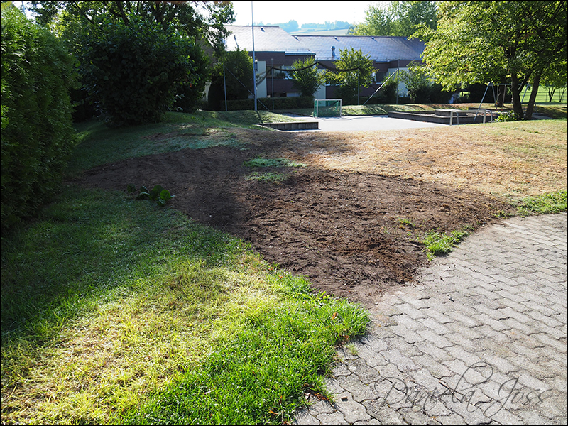 Heizungssanierung Steinriesel M�hleberg