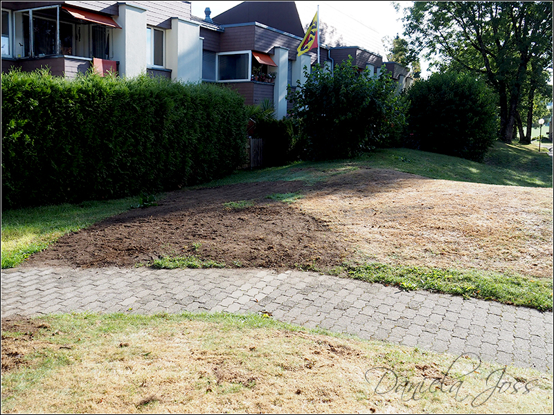 Heizungssanierung Steinriesel M�hleberg