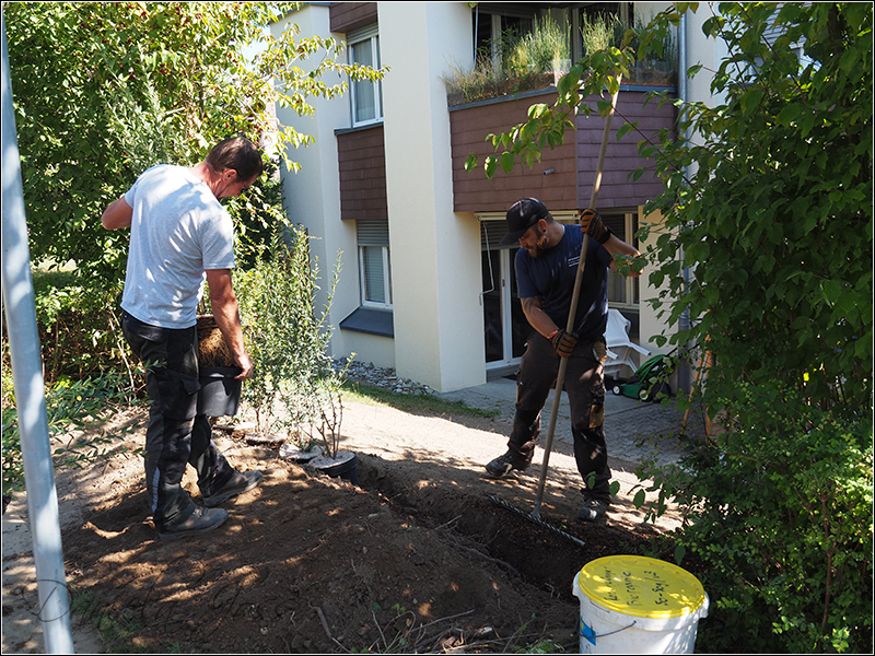 Heizungssanierung Steinriesel M�hleberg