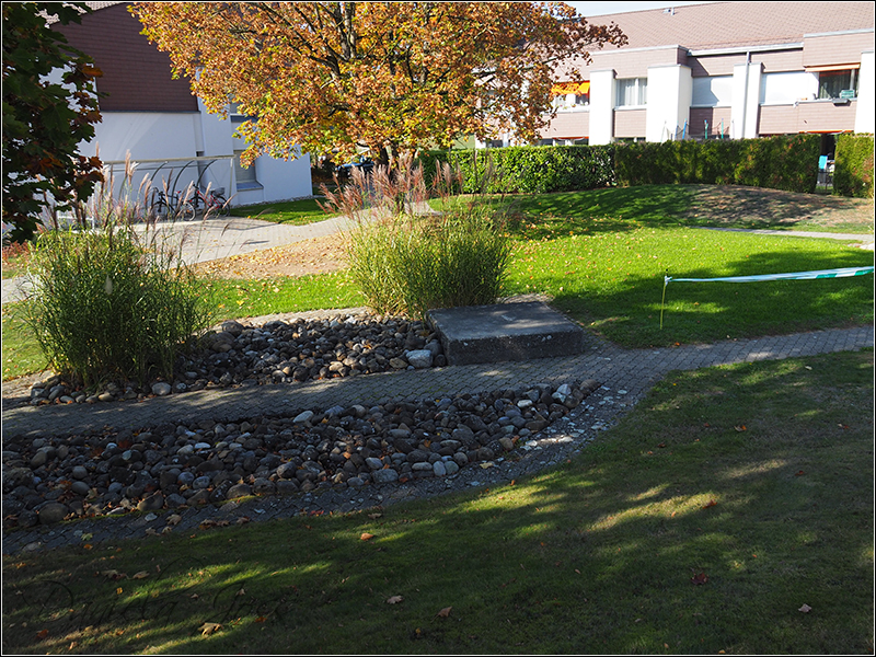 Heizungssanierung Steinriesel M�hleberg