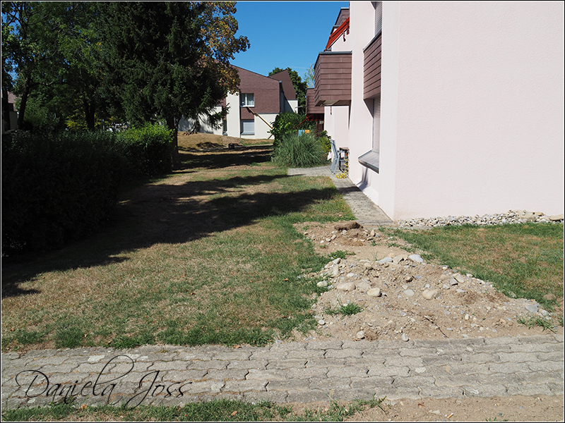 Heizungssanierung Steinriesel M�hleberg