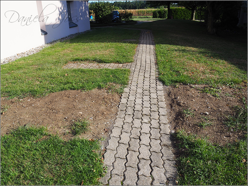 Heizungssanierung Steinriesel M�hleberg