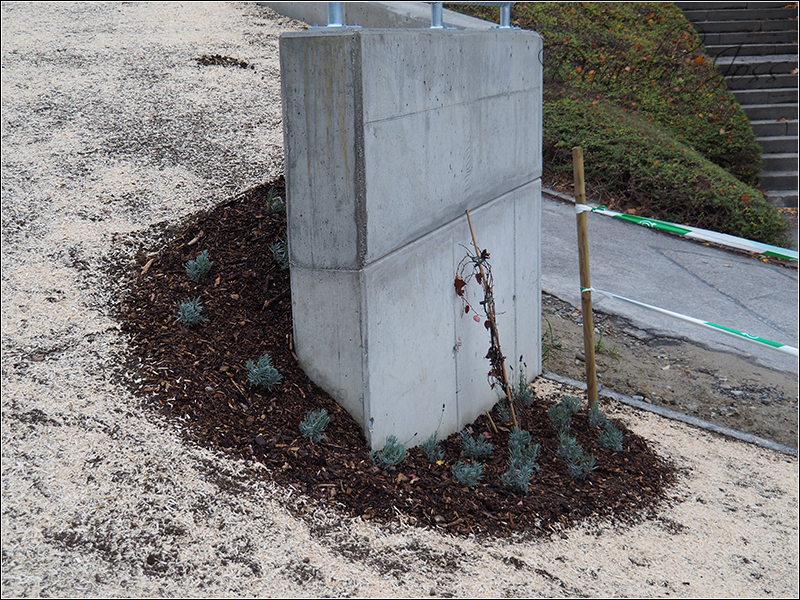 Heizungssanierung Steinriesel M�hleberg