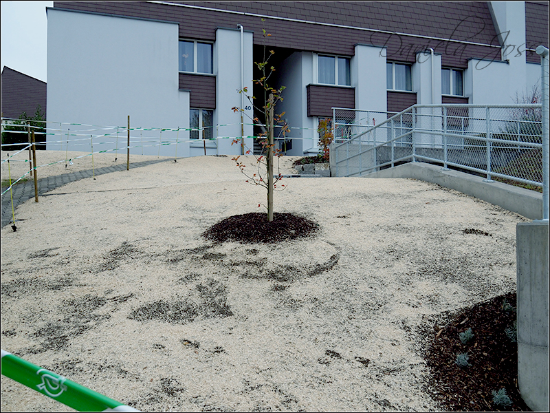Heizungssanierung Steinriesel M�hleberg