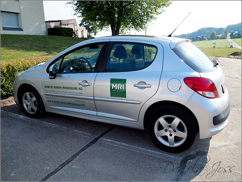Heizungssanierung Steinriesel M�hleberg