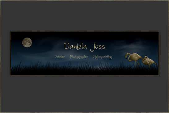 Daniela Joss Alt