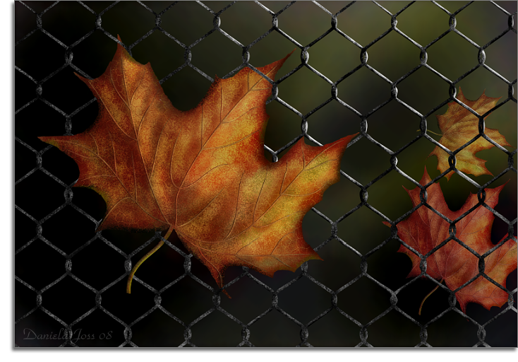 Ahornblatt im Herbst am Zaun gemalt mit PhotoImpact von Daniela Joss.