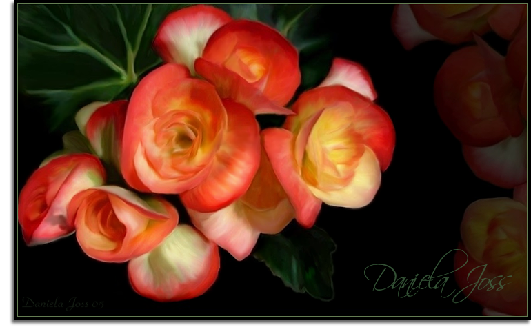Begonien gemalt mit PhotoImpact von Daniela Joss.
