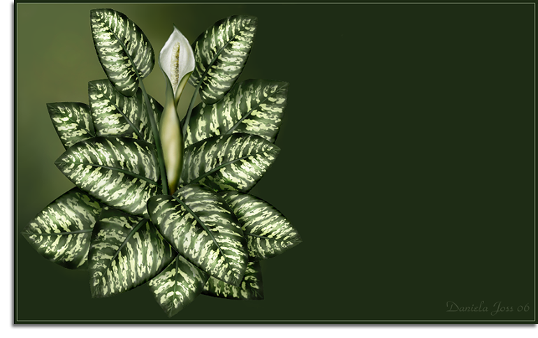Dieffenbachia gemalt mit PhotoImpact von Daniela Joss.
