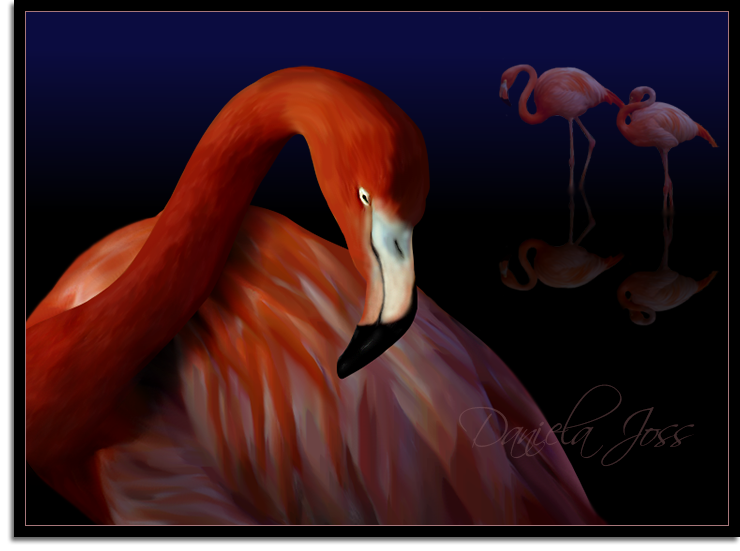 Flamingo gemalt mit PhotoImpact von Daniela Joss.