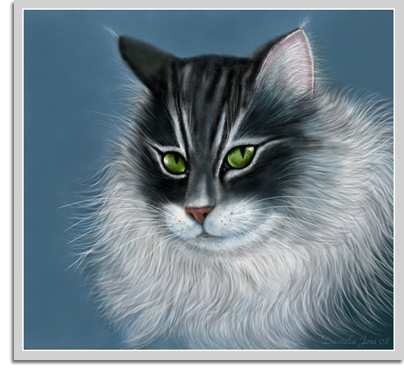 Maine-Coon Amerikanische Waldkatze gemalt mit PhotoImpact von Daniela Joss.