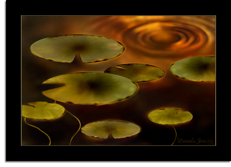 Schwimmende Seerosenblätter gemalt mit PhotoImpact von Daniela Joss.